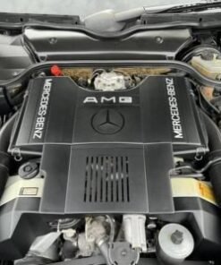 Original AMG M119 6.0L V8 Engine